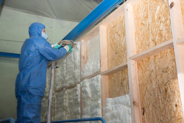 Best Cellulose Insulation  in Sedalia, MO
