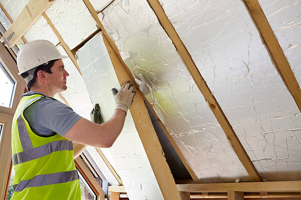 Best Insulation Replacement Services  in Sedalia, MO