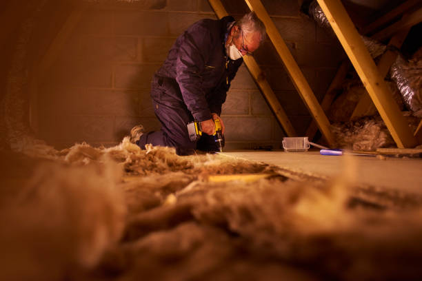 Best Home Insulation Services  in Sedalia, MO